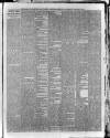 Weekly Examiner (Belfast) Saturday 01 January 1881 Page 7