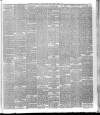 Weekly Examiner (Belfast) Saturday 19 April 1884 Page 5