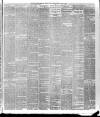 Weekly Examiner (Belfast) Saturday 19 July 1884 Page 6