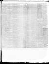 Weekly Examiner (Belfast) Saturday 24 April 1886 Page 7
