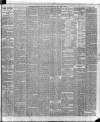 Weekly Examiner (Belfast) Saturday 29 June 1889 Page 5