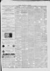 Dublin Advertising Gazette Saturday 09 February 1867 Page 3