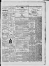 Dublin Advertising Gazette Saturday 02 May 1868 Page 3