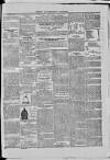 Dublin Advertising Gazette Saturday 16 January 1869 Page 3