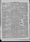 Dublin Advertising Gazette Saturday 13 February 1869 Page 3