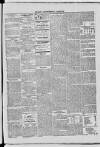 Dublin Advertising Gazette Saturday 13 March 1869 Page 3