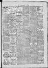 Dublin Advertising Gazette Saturday 01 May 1869 Page 3