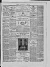 Dublin Advertising Gazette Saturday 04 December 1869 Page 3