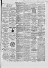 Dublin Advertising Gazette Saturday 11 January 1873 Page 5