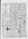 Dublin Advertising Gazette Saturday 01 March 1873 Page 5