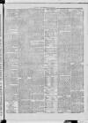 Dublin Advertising Gazette Saturday 21 February 1874 Page 3