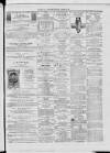 Dublin Advertising Gazette Saturday 06 June 1874 Page 5