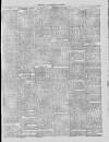 Dublin Advertising Gazette Saturday 27 February 1875 Page 3