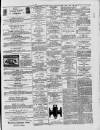 Dublin Advertising Gazette Saturday 05 June 1875 Page 5