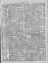 Dublin Advertising Gazette Saturday 05 June 1875 Page 7