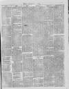Dublin Advertising Gazette Saturday 28 August 1875 Page 3