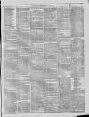 Dublin Advertising Gazette Saturday 26 February 1876 Page 3