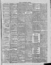 Dublin Advertising Gazette Saturday 10 February 1877 Page 3