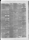 Dublin Evening Herald 1846 Tuesday 05 January 1847 Page 3