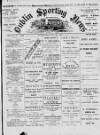 Dublin Sporting News Wednesday 24 May 1893 Page 1