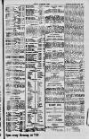 Dublin Sporting News Saturday 12 November 1898 Page 3