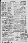 Dublin Sporting News Tuesday 15 November 1898 Page 3
