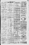 Dublin Sporting News Friday 24 March 1899 Page 3