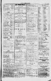 Dublin Sporting News Tuesday 30 May 1899 Page 3