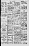 Dublin Sporting News Wednesday 24 January 1900 Page 3