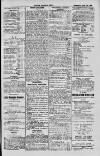 Dublin Sporting News Wednesday 11 April 1900 Page 3