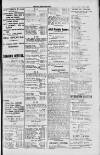 Dublin Sporting News Saturday 28 April 1900 Page 3