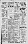 Dublin Sporting News Wednesday 13 June 1900 Page 3