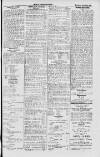 Dublin Sporting News Saturday 07 July 1900 Page 3