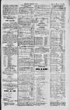 Dublin Sporting News Thursday 15 November 1900 Page 3