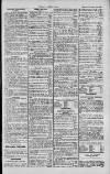 Dublin Sporting News Monday 19 November 1900 Page 3