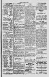 Dublin Sporting News Tuesday 12 February 1901 Page 3