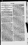 Dublin Leader Saturday 15 February 1919 Page 19