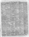 Wexford and Kilkenny Express Saturday 29 January 1876 Page 5