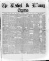 Wexford and Kilkenny Express Saturday 15 March 1884 Page 1