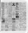 Wexford and Kilkenny Express Saturday 15 March 1884 Page 3