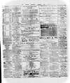 Wexford and Kilkenny Express Saturday 24 January 1885 Page 2