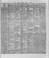 Wexford and Kilkenny Express Saturday 02 January 1886 Page 5