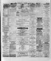 Wexford and Kilkenny Express Saturday 30 January 1886 Page 2