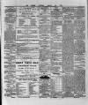 Wexford and Kilkenny Express Saturday 30 January 1886 Page 4