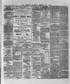 Wexford and Kilkenny Express Saturday 06 February 1886 Page 4