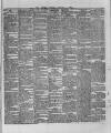 Wexford and Kilkenny Express Saturday 06 February 1886 Page 5