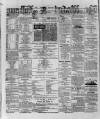 Wexford and Kilkenny Express Saturday 20 February 1886 Page 2