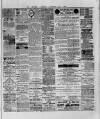 Wexford and Kilkenny Express Saturday 20 February 1886 Page 3