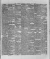 Wexford and Kilkenny Express Saturday 20 February 1886 Page 5