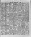 Wexford and Kilkenny Express Saturday 27 February 1886 Page 5